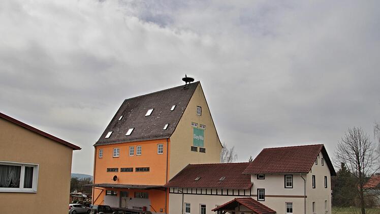 Der Entschluss scheint noch nicht gefallen, ob sich Störche auf dem Dach in der Bahnhofstraße in Pfarrweisach nieder lassen wollen. Umgeschaut haben sie sich dort schon mehrmals, letztmals am Montag