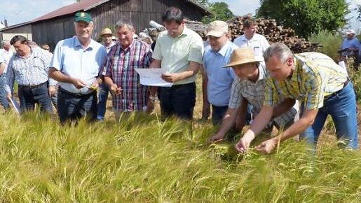 Die Sommergerste im Landkreis Hof hat sich gut entwickelt. Im Bild von rechts: Markus Burteisen (Bamberger M&auml;lzerei), Landwirtschaftsoberrat Friedrich Ernst, Braugerstenvereins-Vorsitzender Hans Pezold, stellvertretender Vorsitzender MdL Martin Sch&ouml;ffel, der fr&uuml;here Vorsitzende Erhard Hildner und der oberfr&auml;nkische BBV-Pr&auml;sident Hermann Greif zeigten sich zufrieden mit den Best&auml;nden. Foto: Klaus-Peter Wulf