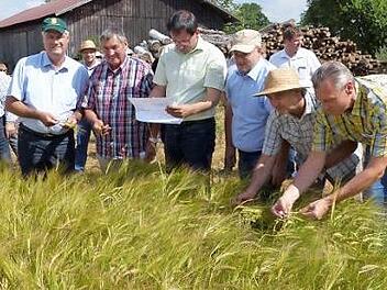 Die Sommergerste im Landkreis Hof hat sich gut entwickelt. Im Bild von rechts: Markus Burteisen (Bamberger Mälzerei), Landwirtschaftsoberrat Friedrich Ernst, Braugerstenvereins-Vorsitzender Hans Pezold, stellvertretender Vorsitzender MdL Martin Schöffel, der frühere Vorsitzende Erhard Hildner und der oberfränkische BBV-Präsident Hermann Greif zeigten sich zufrieden mit den Beständen. Foto: Klaus-Peter Wulf