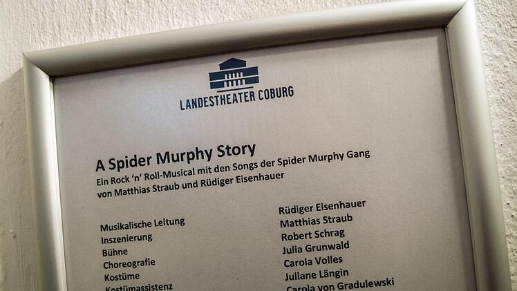 "A Spider Murphy Story": Tosenden Applaus gab es bei der Wiederaufnahme-Premiere des Rock'n'Roll-Musical im Coburger Landestheater.Foto: Jochen Berger