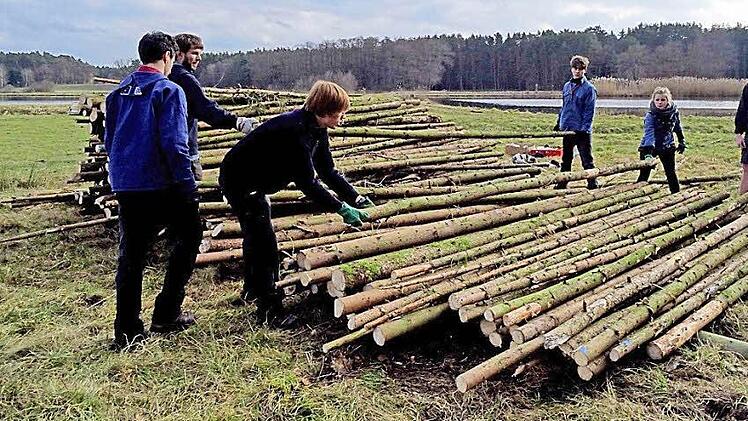 Das geschlagene Holz steht zum Aufladen bereit. Foto: Johanna Blum