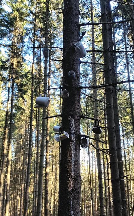 Die schönsten Fotos im November aus Kronach und Umgebung