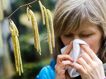 Matcha-Tee kann dank seiner entz&uuml;ndungshemmenden Wirkung eine nat&uuml;rliche Unterst&uuml;tzung bei Heuschnupfen sein.