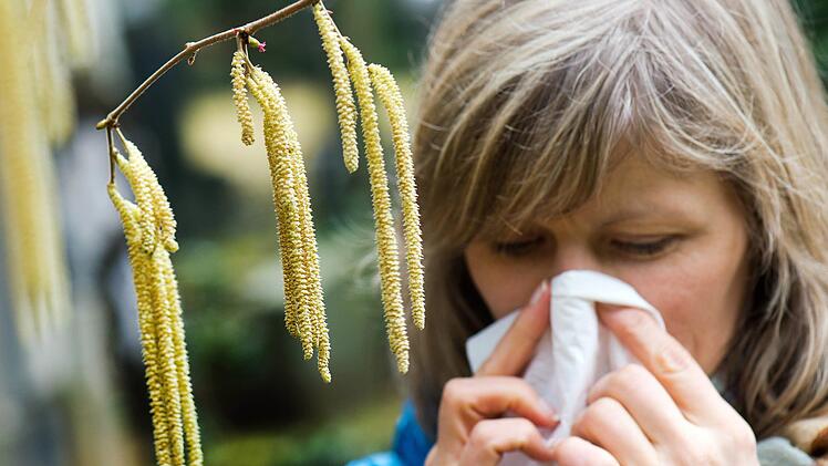 Matcha-Tee kann dank seiner entz&uuml;ndungshemmenden Wirkung eine nat&uuml;rliche Unterst&uuml;tzung bei Heuschnupfen sein.