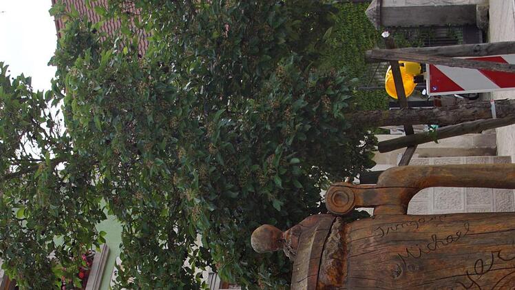 Dieser überdimensionale Maßkrug aus Holz markiert  das Gasthaus "Grüner Baum" und die Brauerei. Er ist gleichzeitig ein Hinweis auf den Skulpturenpfad, der  auf die Initiative von Michael Bayer zurückgeht.
