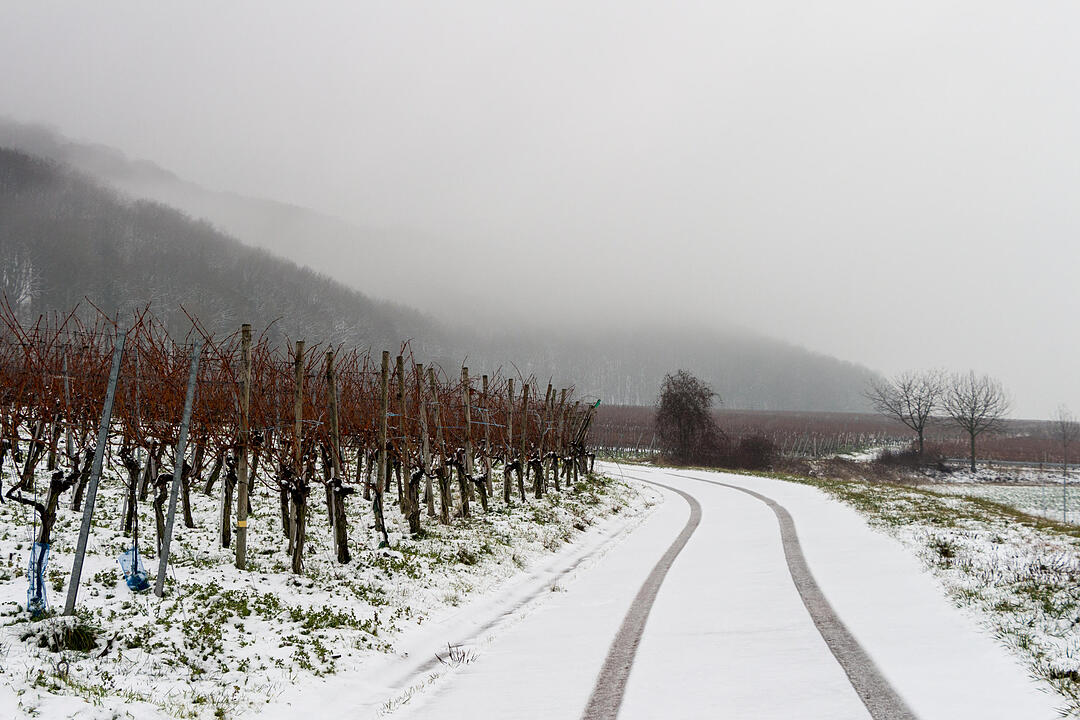 Fotos Konrad Thomann