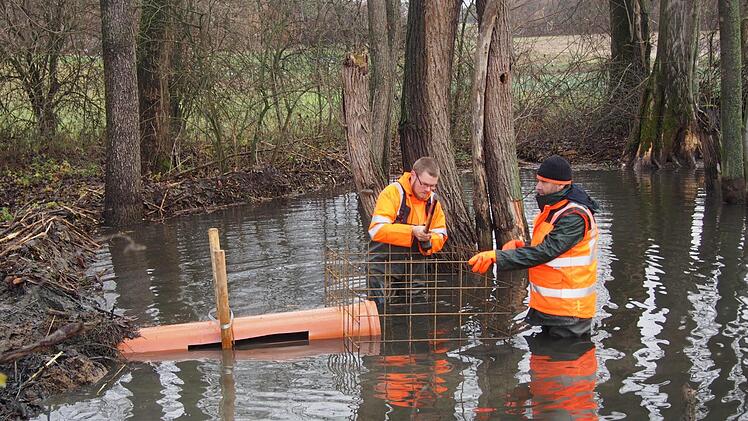 Ein Metallgitter aus Baustahlmatten um den Zulauf der Drainage schützt vor Verstopfung.  Fotos: Johanna Berels