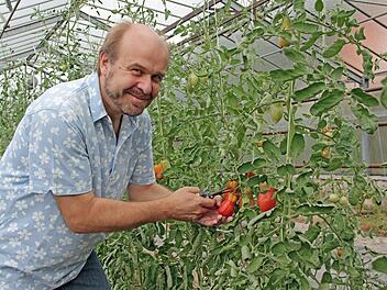 Ausgleich findet Ralf Pohl im Gewächshaus. Dort zieht er Tomaten und anderes Gemüse. Foto: privat