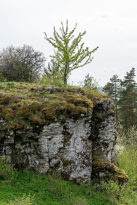 Der große Burgfels dient als toller Aussichtspunkt.