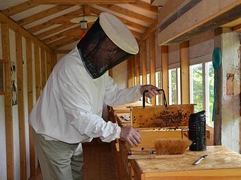 Der Wollbacher Imker Franz Markard in seiner Bienenranch bei der Honigernte. Foto: Kathrin Kupka-Hahn
