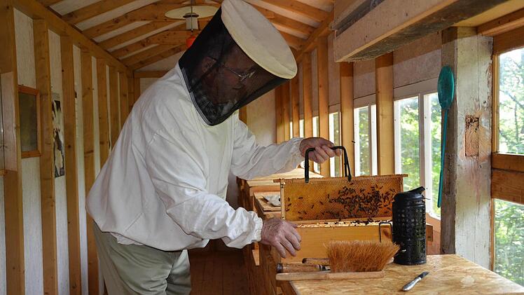 Der Wollbacher Imker Franz Markard in seiner Bienenranch bei der Honigernte. Foto: Kathrin Kupka-Hahn