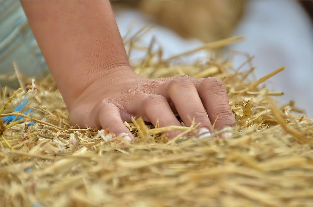 Presse Fotoshooting des Jungbauernkalenders 2013