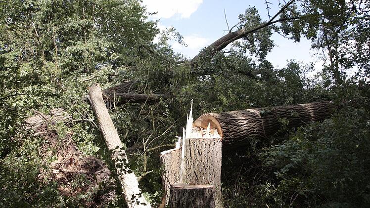 Foto: Josef Hofbauer