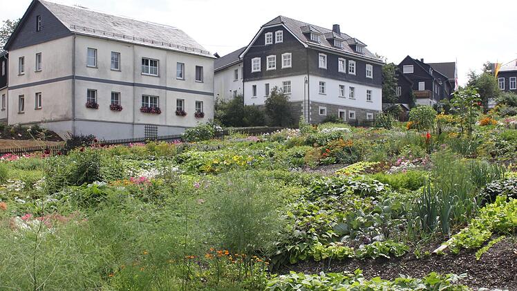 Im "Golddorf" Steinbach/Haide soll Bauland geschaffen werden, um jungen Menschen Perspektiven zu geben. Veronika Schadeck