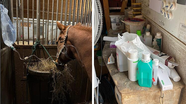 Gefährlicher Virus grasiert auf fränkischem Pferdehof - ein Tier gestorben