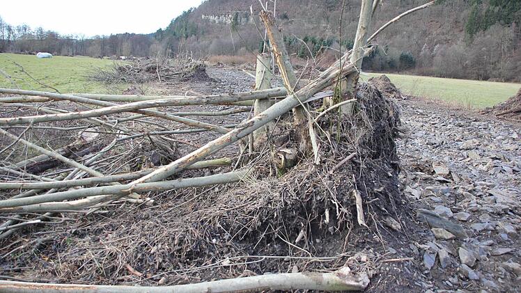 Foto: Friedwald Schedel