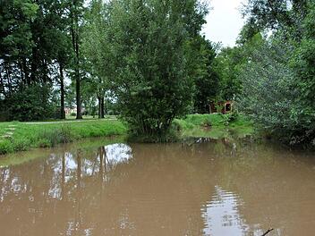 Nach Regenf&auml;llen schlammig und aufgew&uuml;hlt: Der Wei&szlig;bach zwischen Trappstadt und Ipthausen wurde als Nachweisgebiet f&uuml;r die Auswirkungen des Gew&auml;sserschutzes ausgew&auml;hlt, hier der kleine Stausee in Ipthausen.  Foto: Regina Vossenkaul