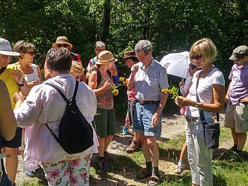 Martina Keller erkl&auml;rte den Teilnehmern die typischen Merkmale und die Wirkung der verschiedenen Kr&auml;uter. Birgit Rechtenbacher