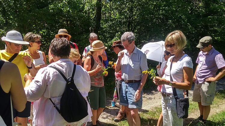 Martina Keller erkl&auml;rte den Teilnehmern die typischen Merkmale und die Wirkung der verschiedenen Kr&auml;uter. Birgit Rechtenbacher