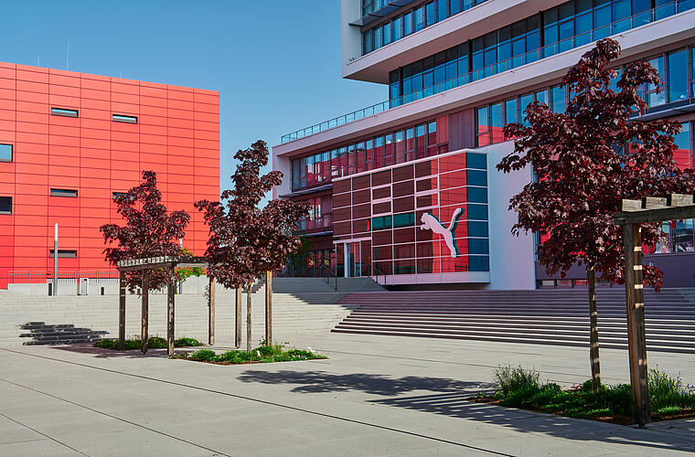 Wird Puma verkauft? Übernahmegerüchte sorgen für Aufsehen