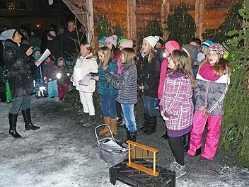 Die vierte Klasse der Marktleugaster Grundschule erfreute die Besucher mit ihrem Gesang. Foto: Klaus-Peter Wulf