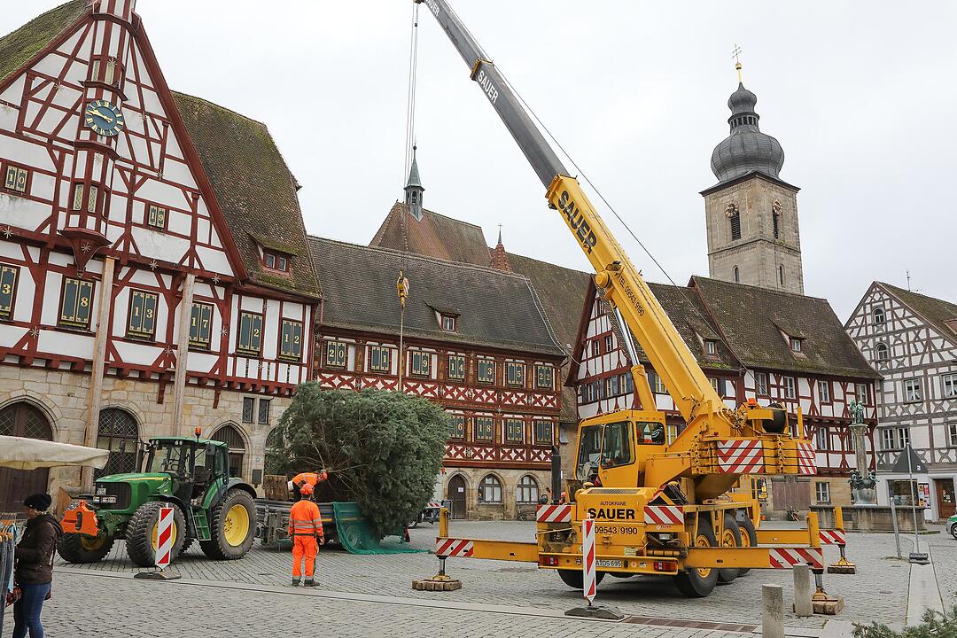Christbaum kommt aus Schlaifhausen  auf den Forchheimer Rathausplatz