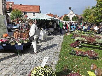 Wie seit 21 Jahren lädt der Kindergartenverein Oberschleichach für den Montag, 3. Oktober, zum Herbstmarkt ein.  Foto: sw/Archiv
