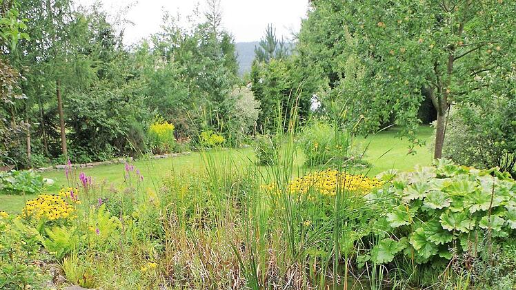 Am Sonntag werden 40 Hobbygärtnerinnen und Hobbygärtner ausgezeichnet. Im Vordergrund der rote Sonnenhut, der immer mehr Freunde gewinnt. Foto: Fleischmann