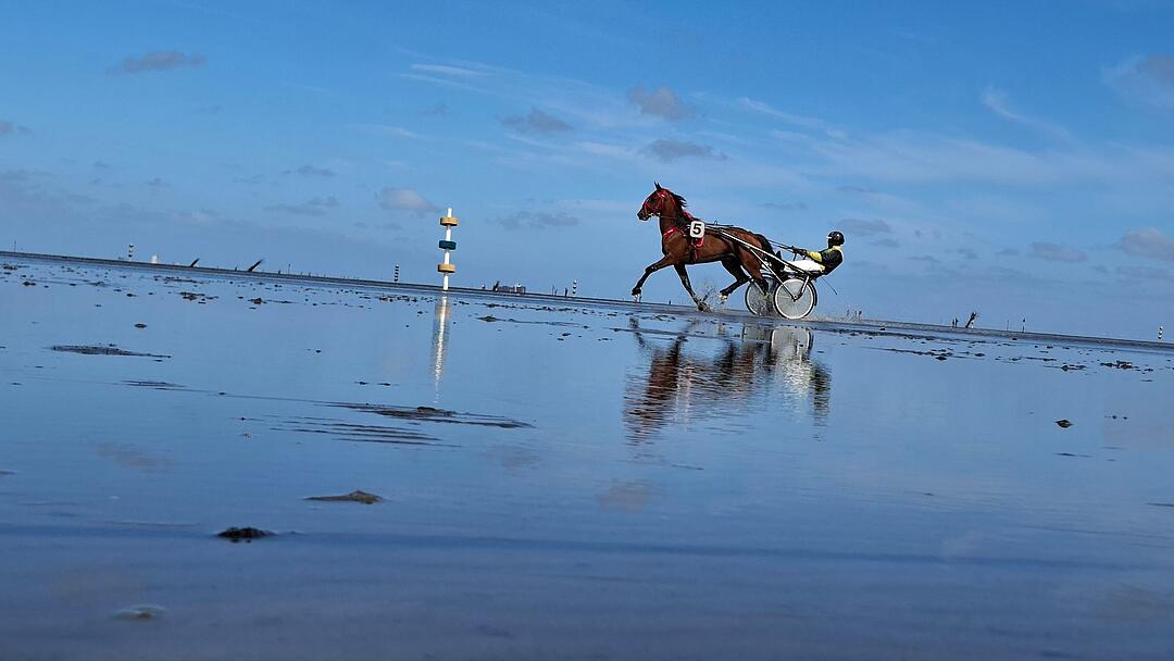 89. Duhner Wattrennen auf dem Meeresboden vor Cuxhaven