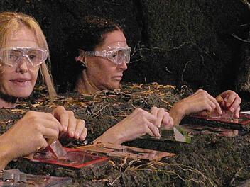 Ich bin ein Star - Holt mich hier raus! - Tag 9