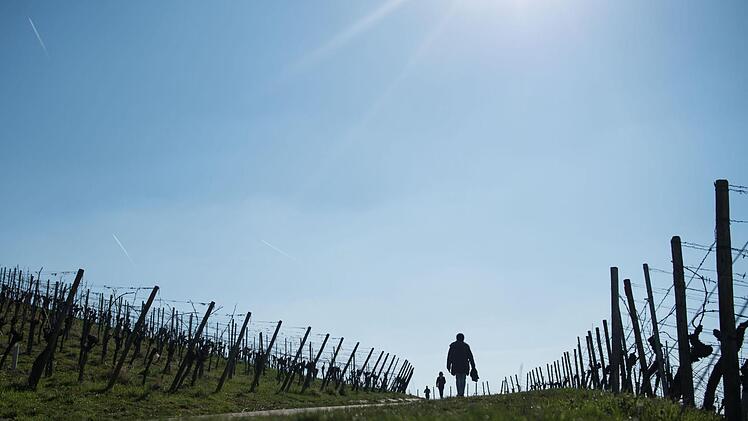 Auch nach dem Wochenende bleibt Franken die Sonne erhalten. Falls sie sich richtig ins Zeug legt, könnte sogar noch ein alter Wärmerekord fallen. Foto: Lino Mirgeler/dpa