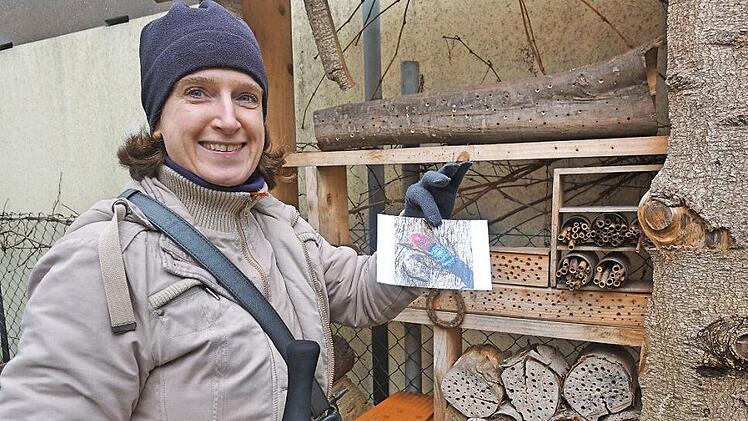 Christiane Acker sieht sich das Insektenhotel genau an, wo unter anderem die Gemeine Goldwespe nistet. Fotos: privat