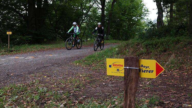 Rad-Vierer in Kothen. Foto: Petra Heurich