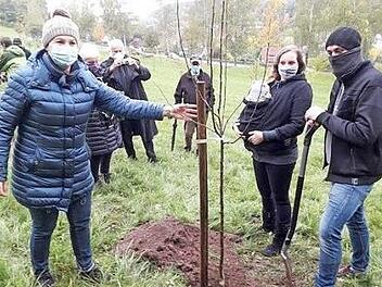 Bürgermeisterin Angela Hofmann (links) mit dem Ehepaar Inga und Dietmar Schlesinger und der kleinen Fritzi beim Pflanzen eines neuen Obstbaumes Foto: privat