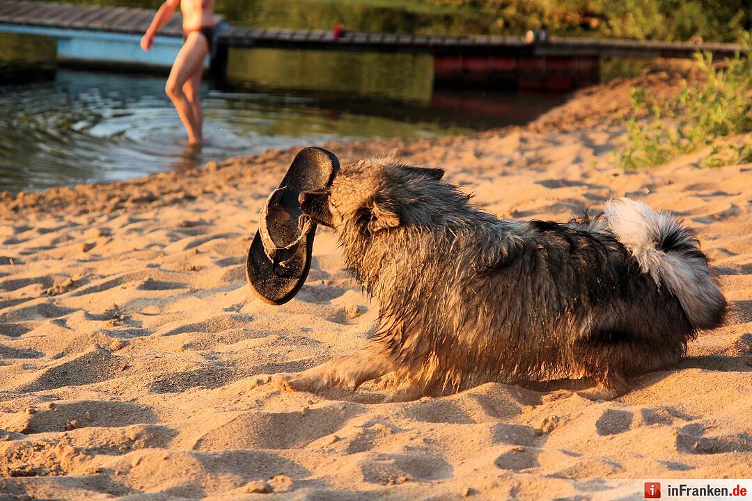 So genießt Franken den Sommer