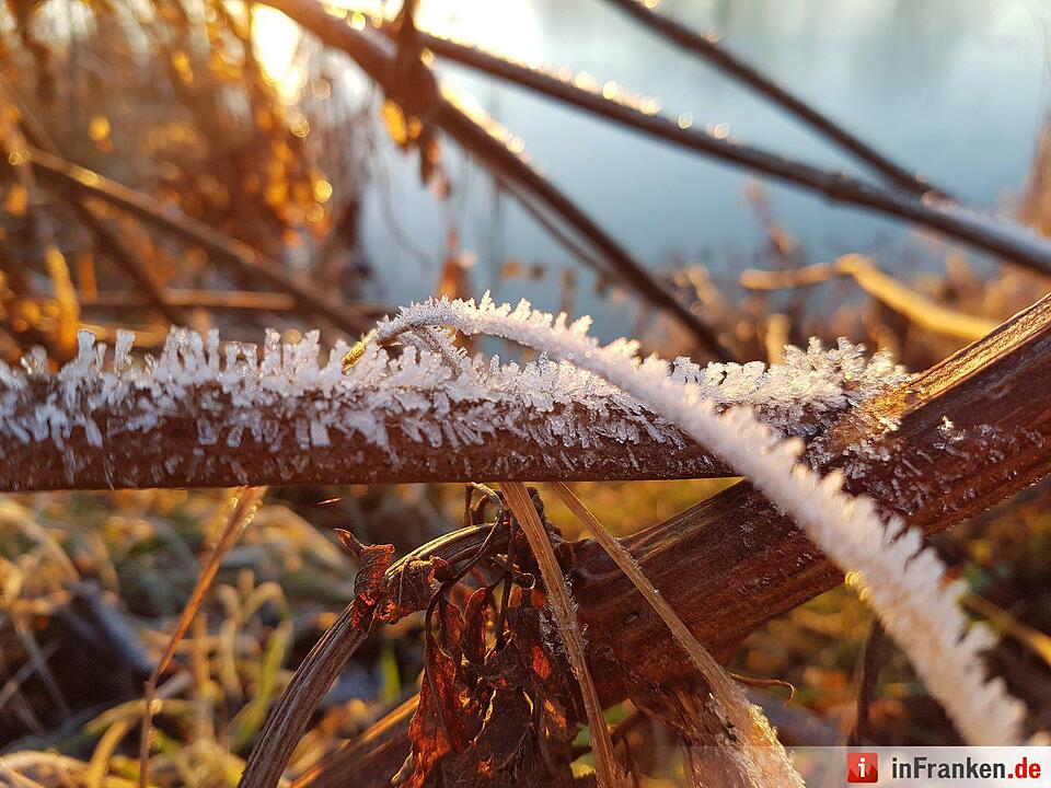 Eis und Schnee in Franken - die schönsten Winterleserfotos