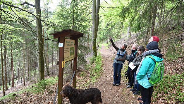 Wenn F&ouml;rsterin Melanie Schwarzmeier (links) eine Sage des M&auml;rchenpfades erz&auml;hlt, haben ihre Begleiter Zeit zum Durchschnaufen. Foto: Ronald Rinklef