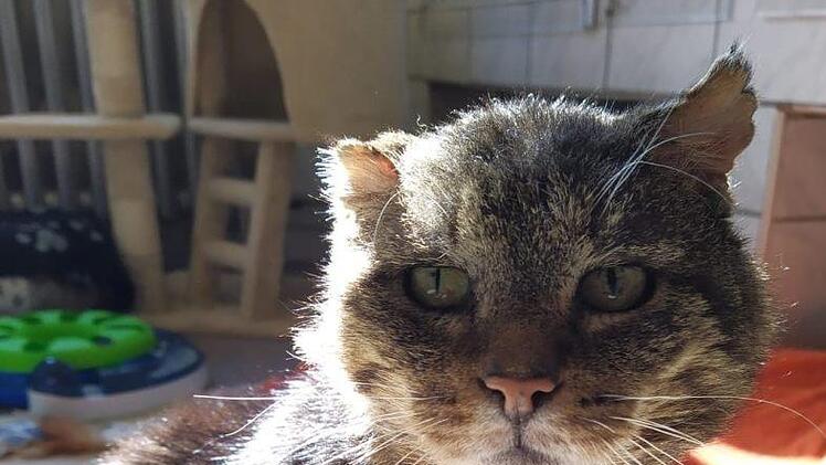 Ein verwegener Haudegen Fotos: Luci Schröder