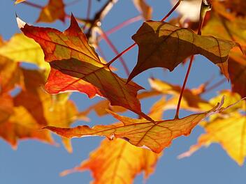 Wetter in Franken: Goldener Herbst? Viel Sonnenschein und milde Temperaturen in Sicht