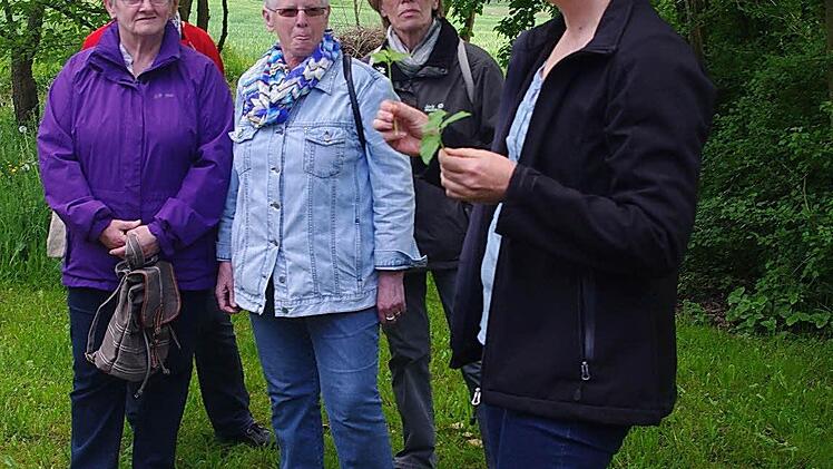 Foto: Heike Schülein