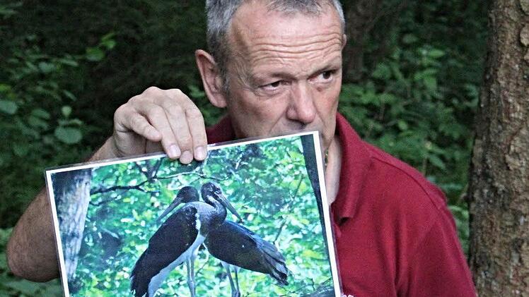 So sieht ein Schwarzstorch aus, zeigt Wolfgang Gnannt. Einen solchen hat er in diesem Jahr im Distrikt Wüstenhof gesehen. Foto: Helmut Will