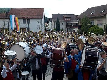 Die Instrumente glänzten beim Musikergruß in der Sonne von Steinwiesen.  Foto: Susanne Deuerling