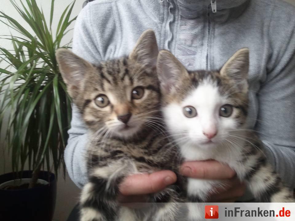 Foto: Christina Kutt