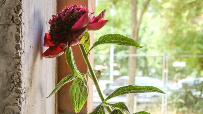 Foto: Barbara Herbst