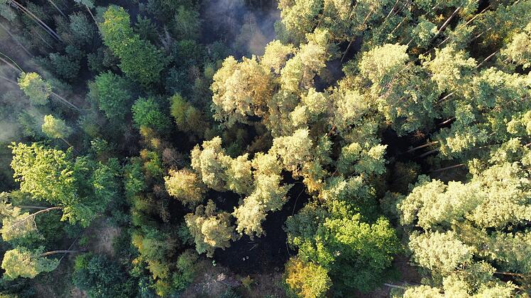 Waldbrand ruft Feuerwehr auf den Plan: Rund 20 Hektar stehen in Flammen