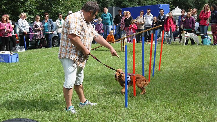 Cocker Spaniel-Hündin Luna war ziemlich konsequent, denn sie hatte überhaupt keine Lust auf den Parcours und die "doofen" Aufgaben. Herrchen Matthias Limmer nahm es gelassen.