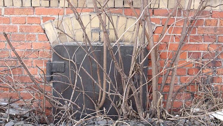 Um das Gebäude herum wächst allerlei Gestrüpp. Foto: Ulrike Nauer