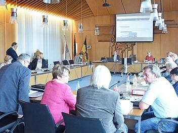 Elke Protzmann sitzt im Stadtrat nicht mehr auf ihrem gewohnten Platz. Foto: Rainer Lutz