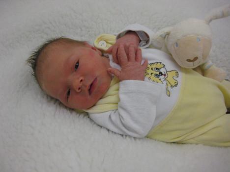 Babygalerie 146