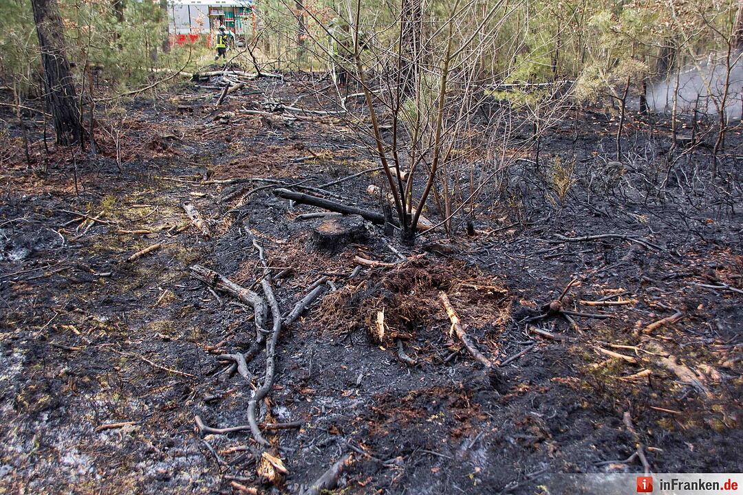 3000 Quadratmeter Waldboden standen in FlammenFeuerwehr hatte Lage schnell unter Kontrolle – Feuerwehr gibt Tipps für richtiges Verhalten im Wald aufgrund der Waldbrandgefahr